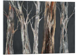 Acrylglas print Eucalyptus trees