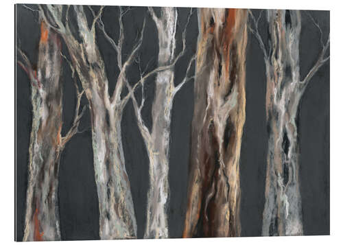 Gallery print Eucalyptus trees