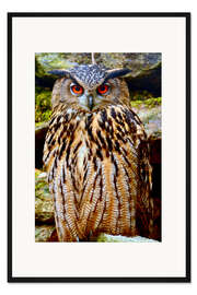 Gerahmter Kunstdruck UHU