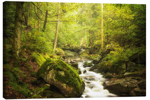 Canvas print Green Valley