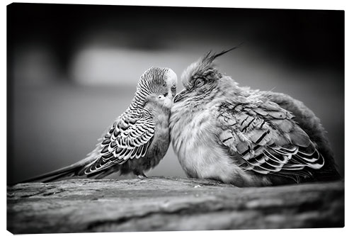 Canvas print Unusual friendship