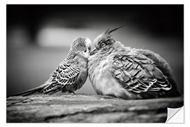 Wandsticker Ungewöhnliche Freundschaft