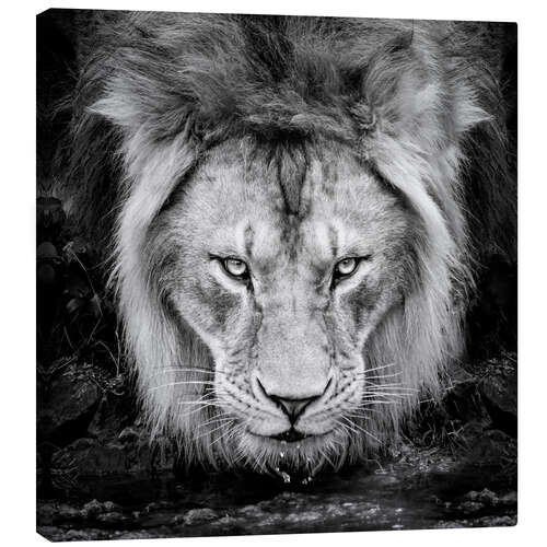 Canvas print Intense Look