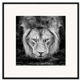 Framed art print Intense Look