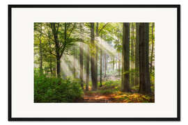 Gerahmter Kunstdruck Wege zur Entspannung