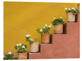 Akrylbilde  Flowerpots on a staircase - Don Paulson