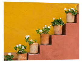 Foam board print Flowerpots on a staircase