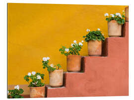 Galleritryck Flowerpots on a staircase