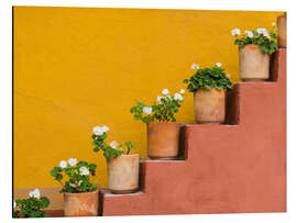 Magnettafel Blumentöpfe auf einer Treppe