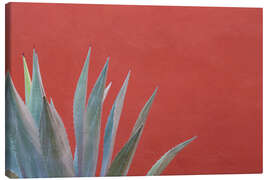 Canvas print  Agave in front of red wall - Don Paulson