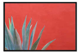 Gerahmter Kunstdruck Agave vor roter Wand