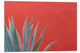 Foam board print Agave in front of red wall