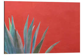 Magnettafel Agave vor roter Wand