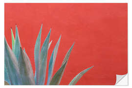 Selvklebende plakat Agave in front of red wall