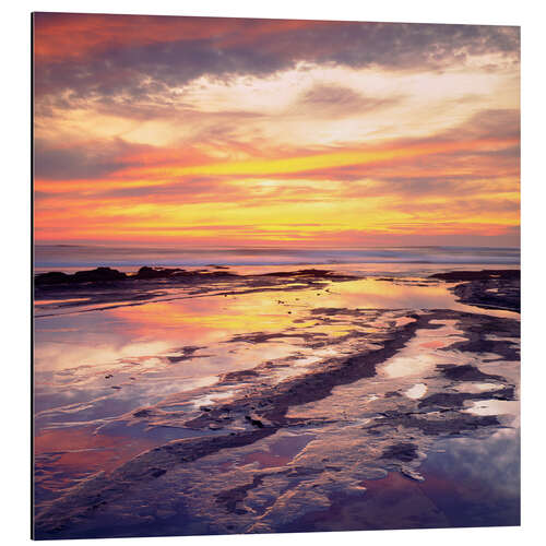 Aluminium print Sunset Cliffs in San Diego