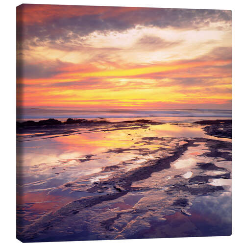 Canvas print Sunset Cliffs in San Diego