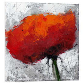 Foam board print Poppy flower on grey