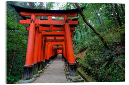 Acrylic print Torii gates in Kyoto