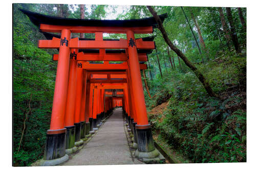 Aluminium print Torii gates in Kyoto