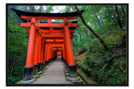 Gerahmter Kunstdruck Torii-Tore in Kyoto