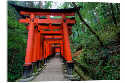 Gallery print Torii gates in Kyoto