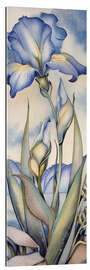 Gallery print Sky iris