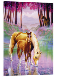 Akrylglastavla  Häst med föl - Andrew Farley