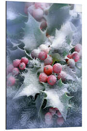 Magnettafel Stechpalme