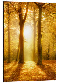 Magnettafel Goldener Herbstwald im Sonnenlicht
