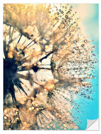 Wall sticker Dandelion Glitter