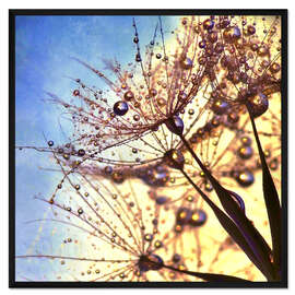 Gerahmter Kunstdruck Pusteblume Color II 