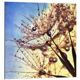 Magnettafel Pusteblume Color II 