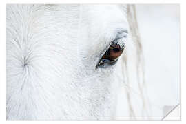 Wall sticker Eye of the horse