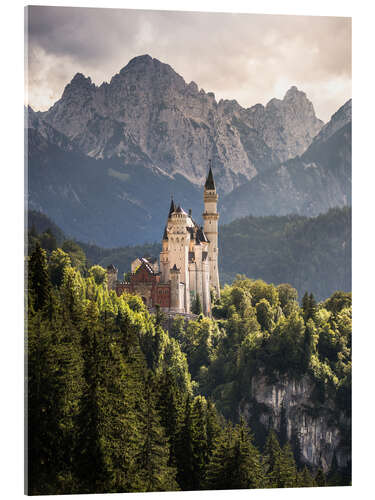 Acrylic print Neuschwanstein Castle in front of the Alps