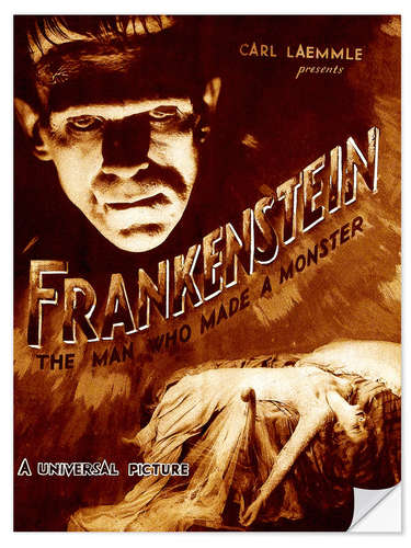 Selvklebende plakat Frankenstein, Boris Karloff, Mae Clarke