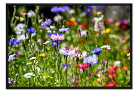 Gerahmter Kunstdruck Bunte Blumenwiese