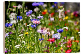 Trebilde Colourful Flower Meadow