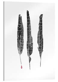 Gallery print The Author&#039;s Feathers