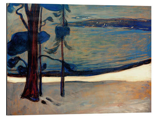 Aluminiumsbilde Vinter ved Nordstrand