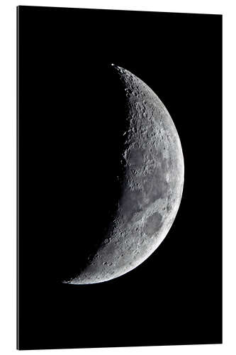 Gallery print new moon