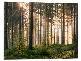 Hartschaumbild Sonnenlicht im herbstlichen Wald