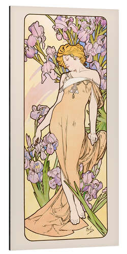 Quadro em alumínio The Flowers - Iris, 1898