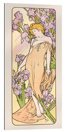 Gallery print The Flowers - Iris, 1898