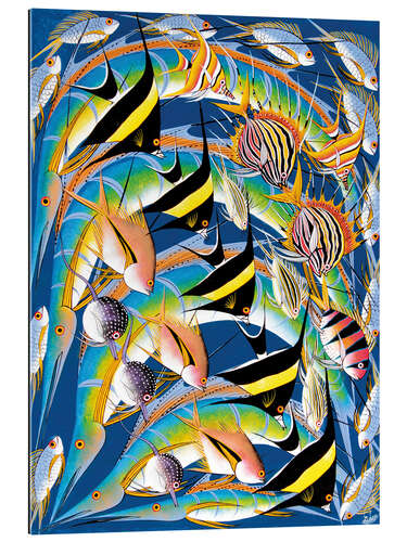 Gallery print Fish World Africa