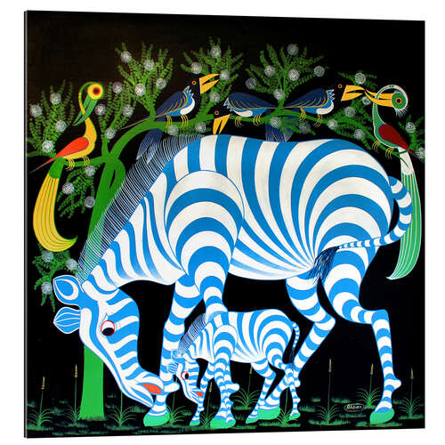 Stampa su plexi-alluminio Blue Zebras at night