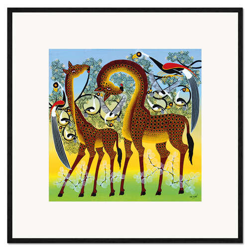 Ingelijste kunstdruk Giraffes at the bird tree