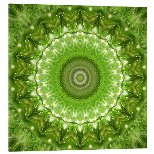 Acrylic print Mandala green meadow