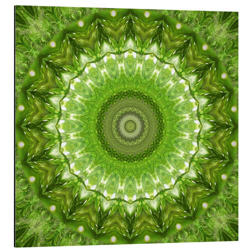 Obraz na aluminium Mandala green meadow