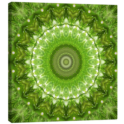 Stampa su tela Mandala green meadow