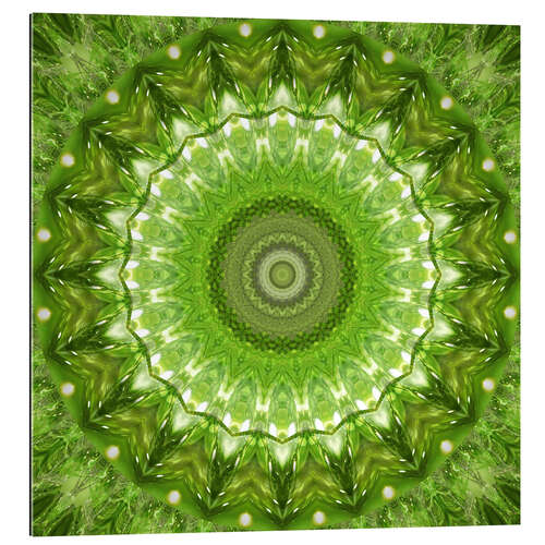 Galleriprint Mandala green meadow